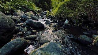 Asmr Relaxing River Sound Water Sound Ambient Music For Yoga For Meditation For Slepp For Stress