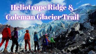 Heliotrope Ridge Trail & Coleman Glacier Hike [How to get to Heliotrope Ridge and Coleman Glacier]