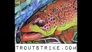 Sharing the Day on Penns Creek with TROUT STRIKE, "Fly-Fishing on Top and Bottom"