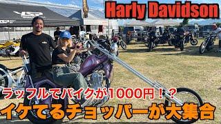 【ハーレー】まさかの展開に！？ 1000円でバイクが当たる！？ Harley Davidson