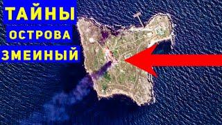 История острова Змеиный и почему он сегодня так важен?