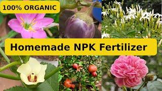 Organic Homemade NPK Fertilizer in Tamil | Preparation of NPK fertilizer made out of kitchen waste