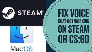 How to fix Mic not working in steam or CS:GO on Mac