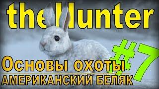 the Hunter - Американский беляк [Основы охоты] #7