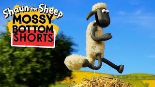 Khối cỏ khô | Mossy Bottom Shorts | Những Chú Cừu Thông Minh [Shaun the Sheep]