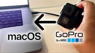 HOW TO CONNECT COPY TRANSFER VIDEO FROM GOPRO TO MAC OS