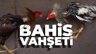 BAHİS VAHŞETİ - Coşkun Aral Anlatıyor