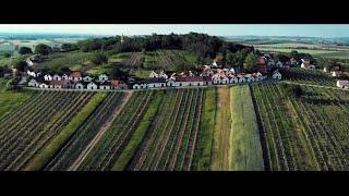 Das Weinviertel entdecken: Genussvolle Kurzurlaube & spannende Ausflüge erleben!