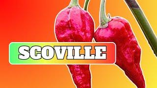 Naga Morich Pepper on the Scoville Scale