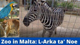 Zoo in Malta | L-Arka ta' Noe