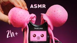 ASMR KAWAII XXL Tascam Trigger Assortment for Deep Relaxation & Intense Tingles [NO TALKING]