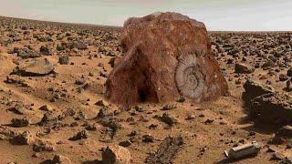 Снимки Марса сделанные марсоходом по имени Любопытство