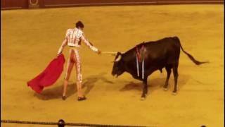 The Cruel Bullfighting in Spain 殘忍的西班牙鬥牛