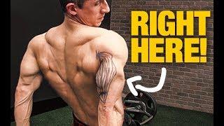 Triceps Size “Secret” (GET BIGGER ARMS!)