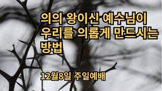 의의 왕이신 예수님이 우리를 의롭게 만드시는 방법 / 12월 8일 배곧가지교회주일 예배 / 디모데후서 3:16-17