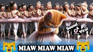 Miaw miaw miaw miaw Song sad , The bullied Sad Kitten who loved dancing becomes a star #cat #cute