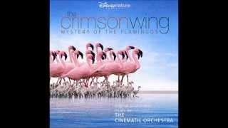 The Cinematic Orchestra - Transformation