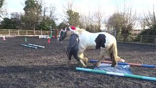 Cassie Senn & Cody The Mane Show horse agility Dec 24