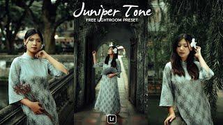 Juniper Tone Lightroom Preset | Lightroom Mobile Preset Free DNG | color grading | lightroom presets