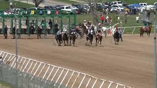 Race 6 Quarter Horse Maiden - 300 Yards