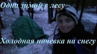 Зимняя ночевка в лесу. Одиночный поход в феврале / Winter hike / Solo Woman Bushcraft