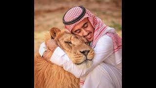 Ce saoudien joue avec les animaux sauvages !