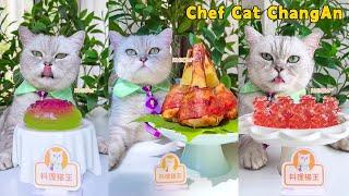 Chef Cat’s NEW FOOD Recipes Are Full Of Surprises!|Cat Cooking Food|Cute And Funny Cat