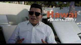 Hawái (Maluma Cover) - Planeta Gattz x Ángel Gattz