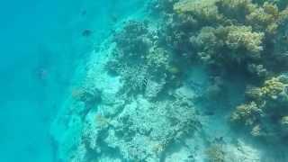 Snorkling in Egypt with GoPro hero3+ Stoloto event