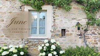 June in our French farmhouse in Burgundy