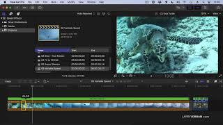 Apple Final Cut Pro: Create Visual Effects Using Speed Changes