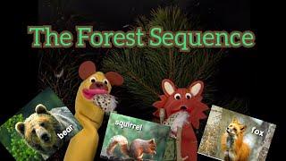 Baby Einstein Lost Media: Everything Currently Available from the World Animals Forest Sequence