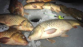 Zhor MONSTROV TEARS MORMYSHKI, RODS INTO TRUCK!!!! Winter fishing for carp