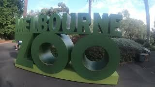 Melbourne Zoo Visit 2024