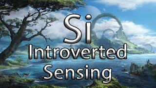 Introverted Sensing (Si) - "Beauty in the Eye of the Beholder"