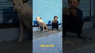 animal lover || cool boy || #shorts #haryanvi #cute YouTube