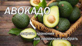 Как сохранить авокадо надолго