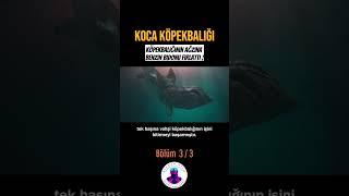 Koca Köpekbalığı | Bölüm 3 #film #dizi #movie