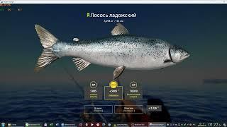 Russian Fishing 4 /Русская рыбалка 4 ▶  Архипелаг