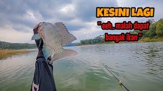 GAK RUGI‼️MANCING KESINI LAGI MALAH DAPAT BANYAK IKAN || mancing ikan nila di waduk wonorejo