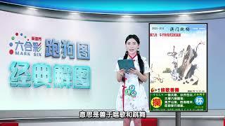 第010期 --【新澳门跑狗图】白小姐来给你解图啦！