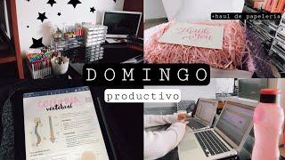 ÚLTIMAS TAREAS, TRABAJO, CURSOS DE MEDICINA Y HAUL STATIONARY PAL Carola Study