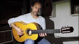 Román Vicenti - Granaina (Guitarra Paco Rey)