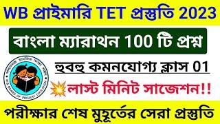 বাংলা ম্যারাথন ক্লাস 01 | Bengali Class for Primary TET 2023 | Bengali Pedagogy for wb primary tet