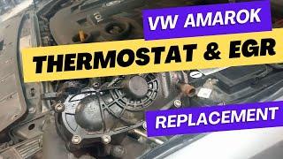 VW Amarok Thermostat and EGR Cooler / Valve Replacement (V6 DIESEL)