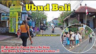 Bisma Area In Ubud Is A Good Option To Stay..! 5 Minutes From Ubud Center.! How is This Area Now..??