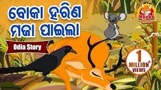 Boka Harina Maja Paila ବୋକା ହରିଣ ମଜା ପାଇଲା Odia Moral Story |  Huke Hu TV