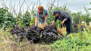 Mountain Village on the Border with Russia: Organic Living Far from Civilization