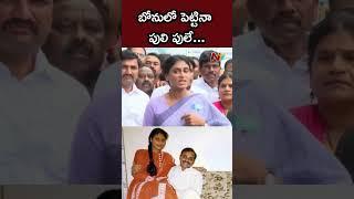 YSR బిడ్డను.. తగ్గేదేలే...! : YS Sharmila | Ntv