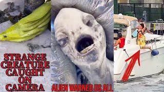 MOST STRANGEST VIDEOS ON THE INTERNET | UNEXPLAINED THINGS CAUGHT ON CAMERA YOU MUST NOT MISS